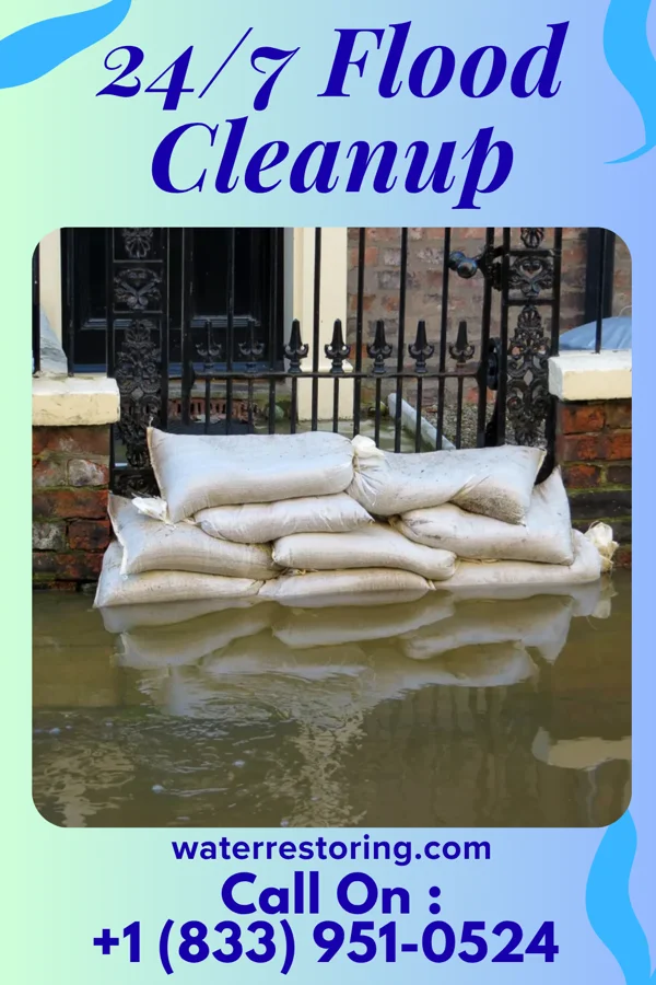 24/7 Flood Cleanup in Holgate, OH
