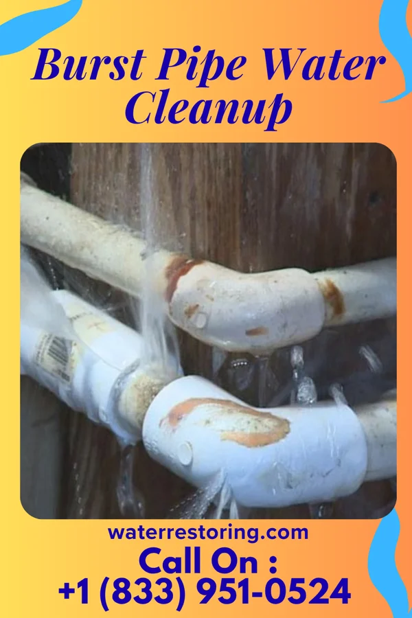 Burst Pipe Water Cleanup in Holgate, OH