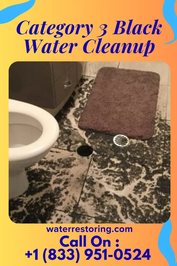 Category 3 Black Water Cleanup in Holgate, OH