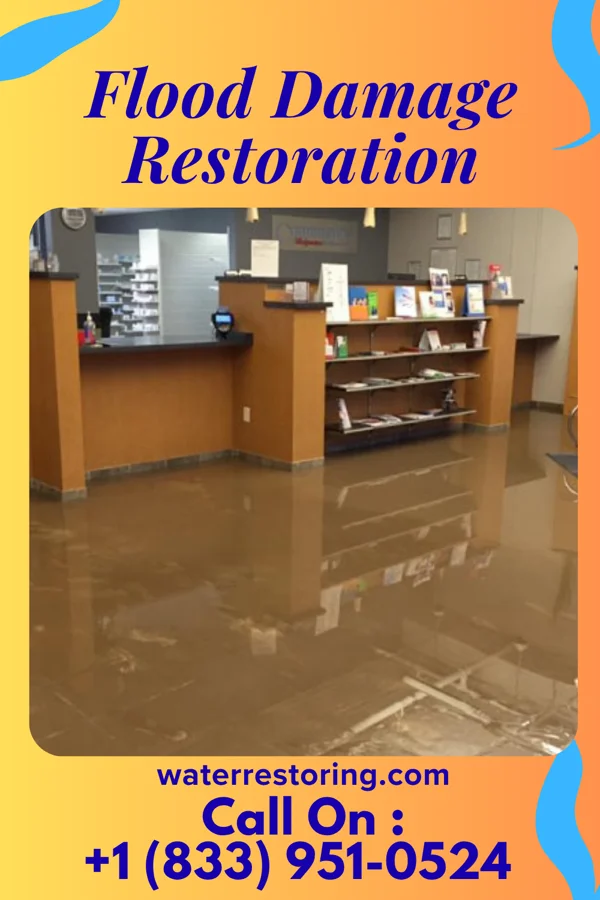 Flood Damage Restoration in Holgate, OH
