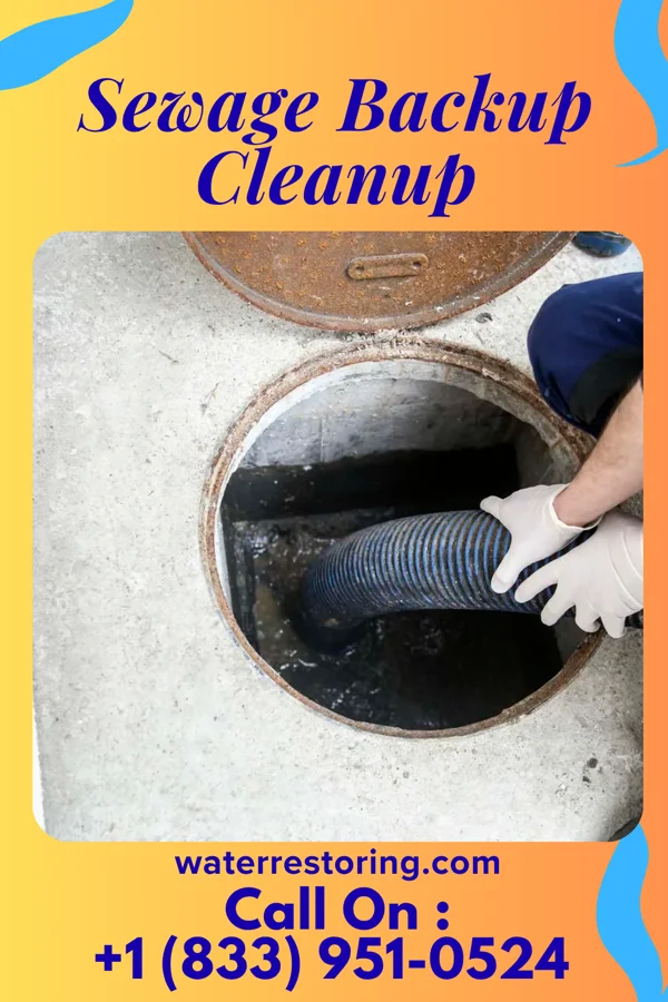 Sewage Backup Cleanup in Holgate, OH