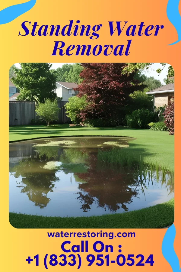 Standing Water Removal in Holgate, OH